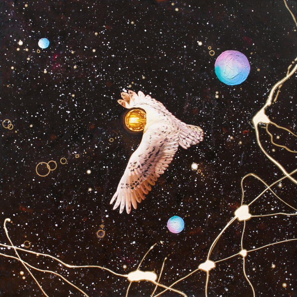 Flying with the universe